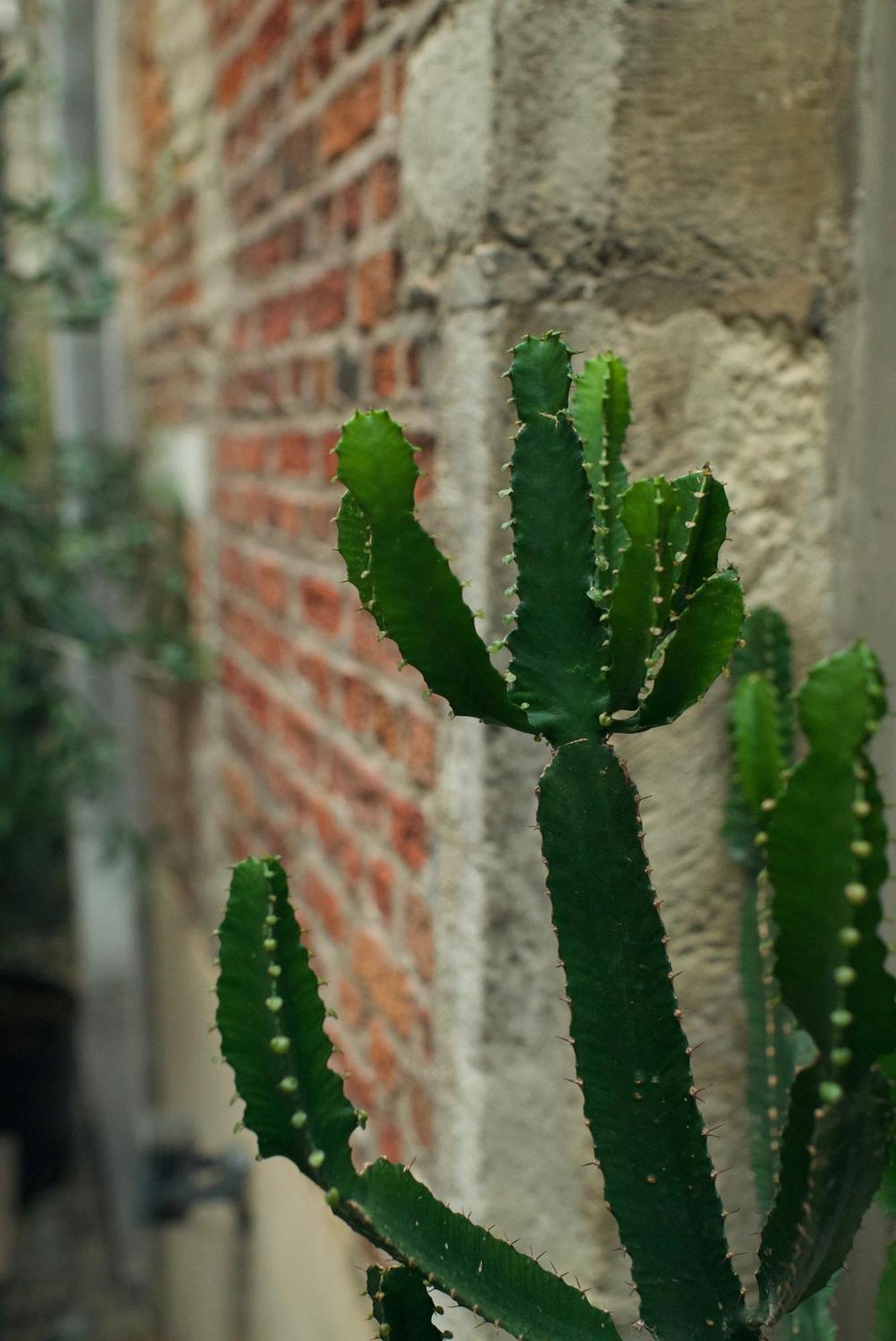 Matelote Hotel Antwerpen